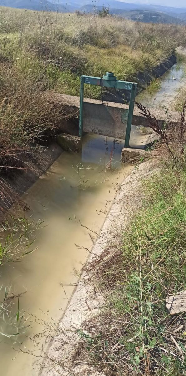 Susuz kalan 3 bin dönüm mahsul kurudu